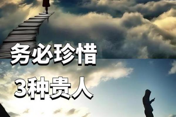 探寻生命的命能：发现内在潜力的旅程