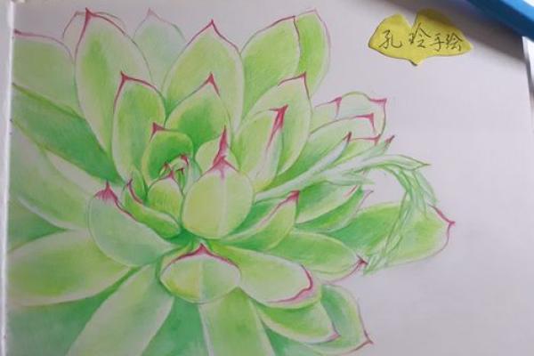 探寻巽木命的色彩之旅：适合的色彩与人生指南