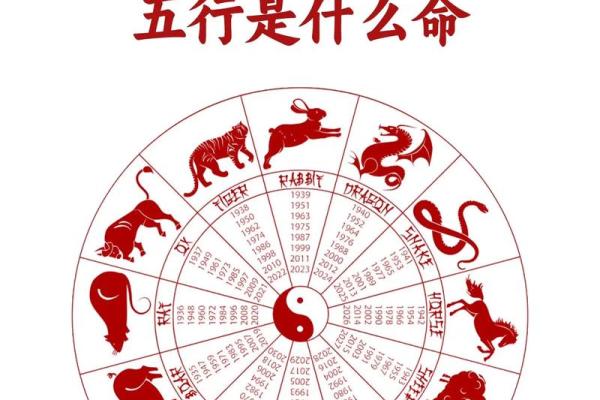 71年什么命配什么生肖：命理与生肖的完美结合