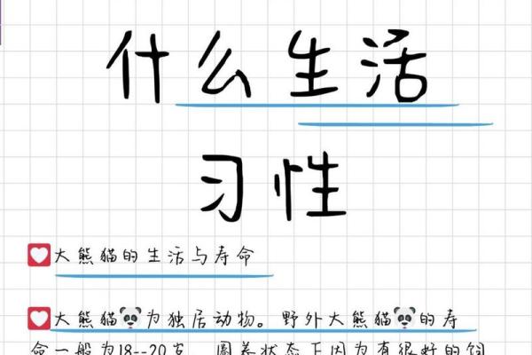 为什么熊猫命好：从可爱到讨喜的女生生活哲学