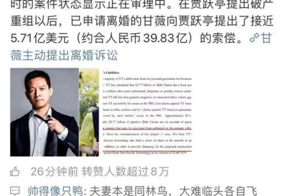 晚年离婚对于命运的影响，探讨生活中的转折与选择