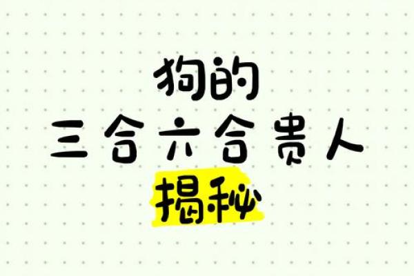 29岁属狗人的命运与人生旅程探索