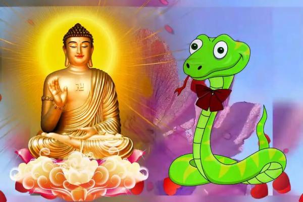 1977年属蛇：智慧与灵动的命卦探秘