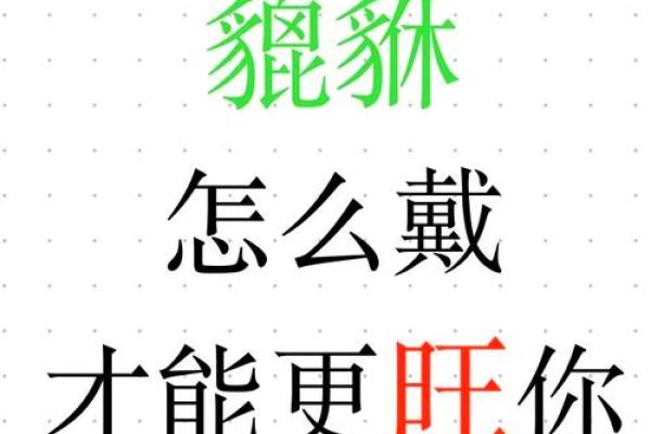 了解命格与貔貅:如何选择适合自己的幸运护身符 了解命格与貔貅:如何选择适合自己的幸运护身符