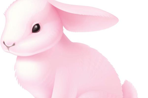 探寻1987年兔年命运：兔子的特质与气运分析