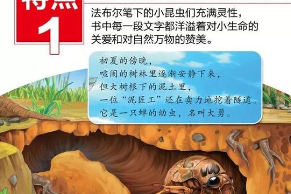 1987年出生的人：揭示他们的命运与个性特点