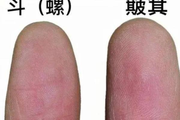 揭秘女人10簸箕是什么命:命运与个性的深度解析 揭秘女人10簸箕是什么命:命运与个性的深度解析