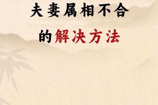 1987年出生属相及其命理解析：探索命运的奥秘与人生的智慧