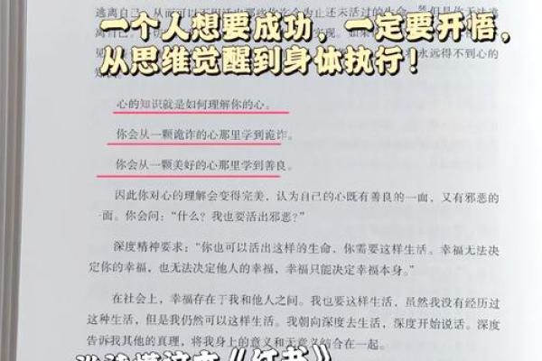 1987年出生属相及其命理解析：探索命运的奥秘与人生的智慧
