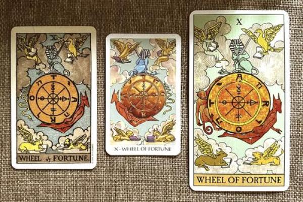 1987年2月的命运之轮：探索生活与选择的奥秘