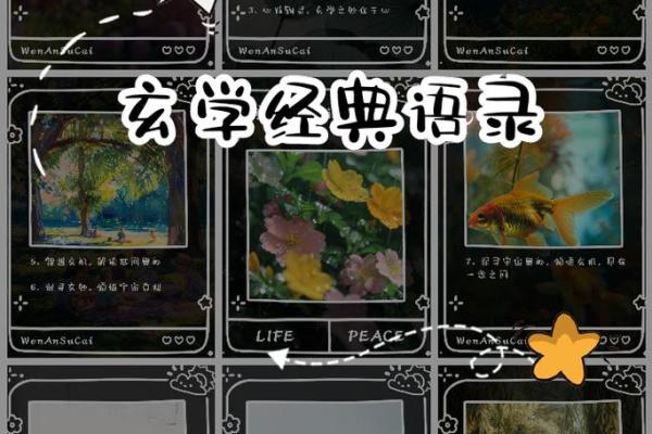 1987年2月的命运之轮：探索生活与选择的奥秘