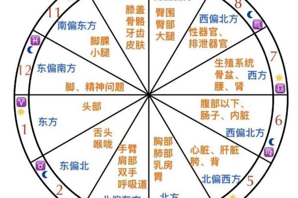 命格与命局的奥秘：揭示个人命运的不同维度