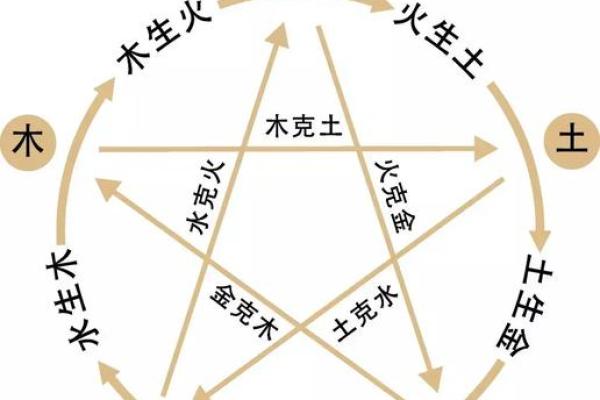 探秘农历5月14日出生人的命理特征与人生解析 探秘农历5月14日出生人的命理特征与人生解析