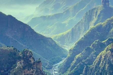 戊戌平地木命：揭示命理与人生的奥秘之旅