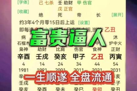 光绪乙巳年的命运解析：八字之中蕴藏的智慧与启示