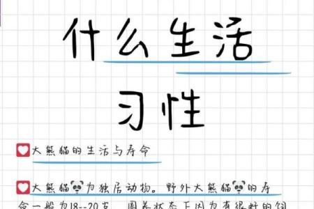 为什么熊猫命好：从可爱到讨喜的女生生活哲学