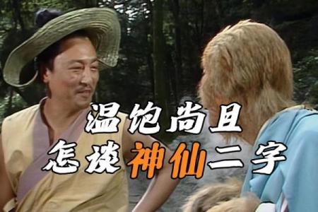 1992年：猴年命运与生活智慧的启示