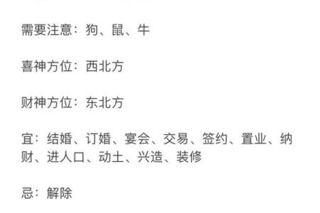 2008年出生的属兔人的命理分析与人生运势探讨