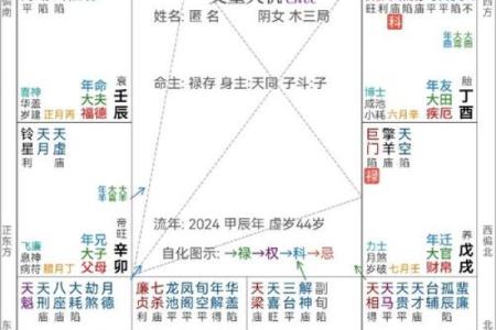 1994年出生的人命属性解析：揭示命运的秘密与人生的走向