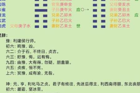 天罗地网命：解读命运与人生的千丝万缕