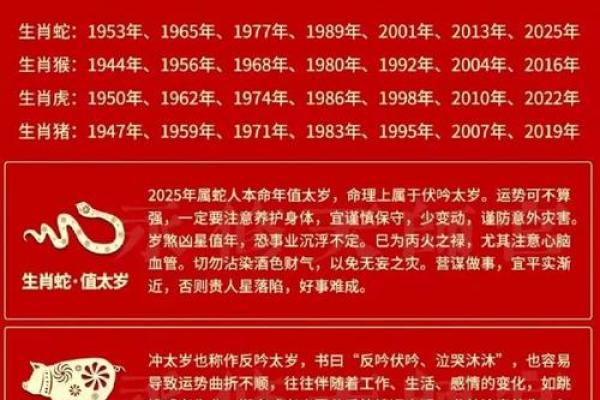 2019年是怎样的一年？详解属猪人的命运与运势