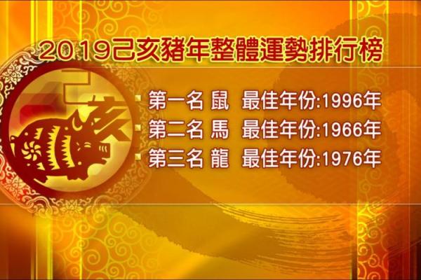 2019年是怎样的一年？详解属猪人的命运与运势