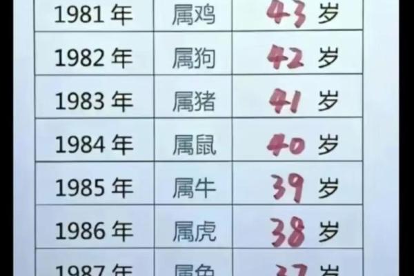 1980年属猴，命运与性格的全解析