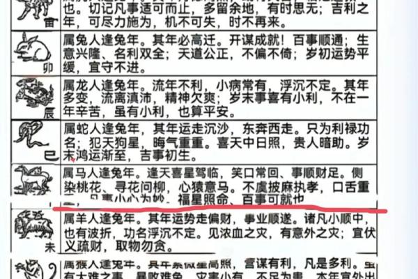 2023年生肖兔的运势解析与生活智慧分享