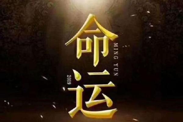 掌上查命运：揭示你命中注定的秘密与启示
