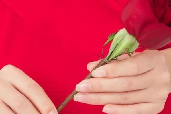 命运的无常与生活的美好：爱与希望的交响曲