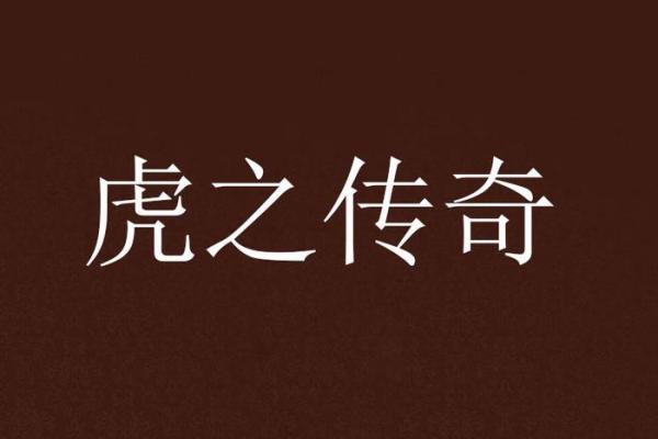 1962年虎命人生解读：勇敢与挑战的传奇旅程