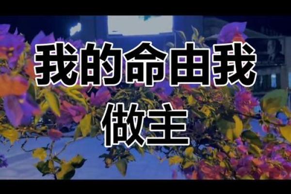 命运在我手中，我要创造自己的未来