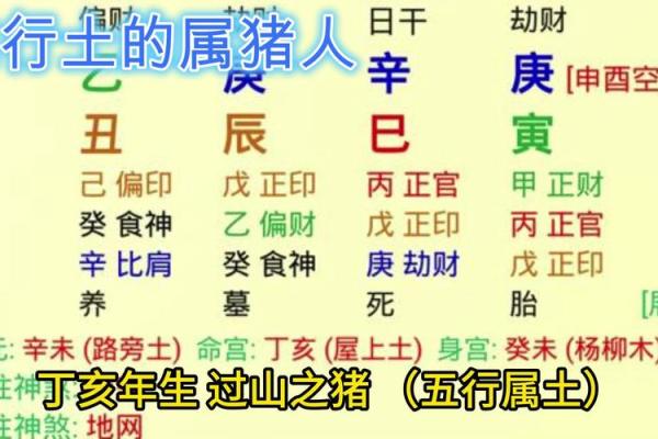 木猪命的职业选择：适合从事哪些行业？