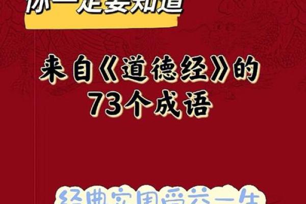 根据什么命什么子的成语大全：探秘汉字背后的智慧与幽默