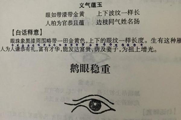 探索瑞凤眼男生的命理与魅力：为何如此独特？