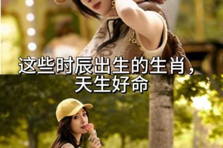 探索十二生肖背后的命理奥秘，揭示你的命运密码！