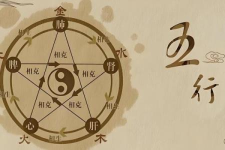 木命属虎：探寻命理中的五行缺失与补救之道