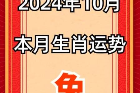 2023年生肖兔的运势解析与生活智慧分享