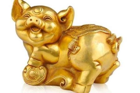 木猪命的职业选择：适合从事哪些行业？