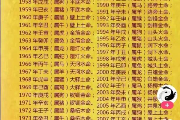 1956年出生的孩子命运解析：你是幸运儿还是挑战者？