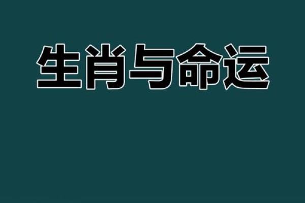 69岁属什么生肖？揭秘生肖与命运的奥秘！