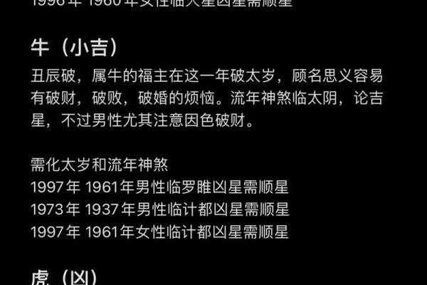 肖姓女孩命运解析：八字命理与性格特质的深度剖析