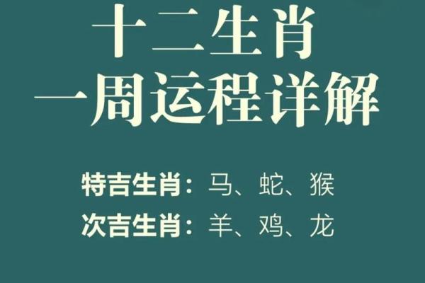 22岁属什么命？带你探索生肖与命理的奇妙！