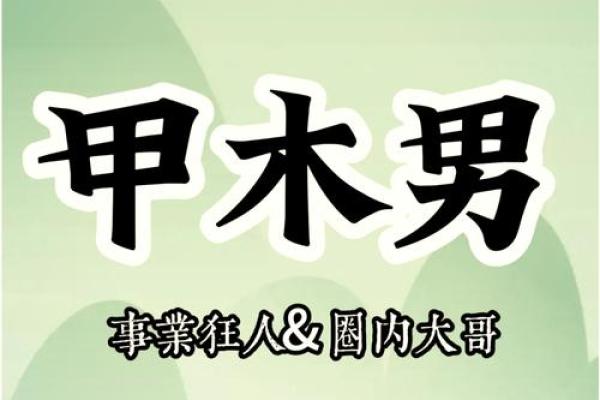 甲木命代表的生肖与其性格特征解析 甲木命代表的生肖与其性格特征解析