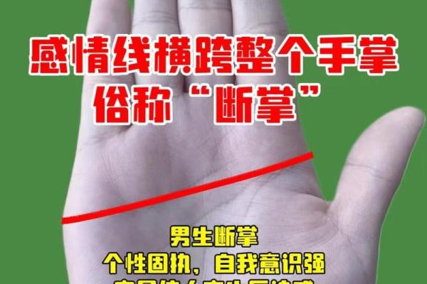 手纹解密：透视婚姻、财运与命运的奥秘