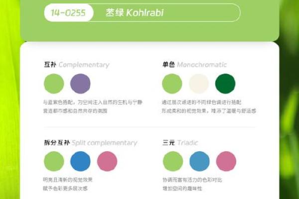 金命之人的色彩选择：如何用色彩提升生活能量与运势