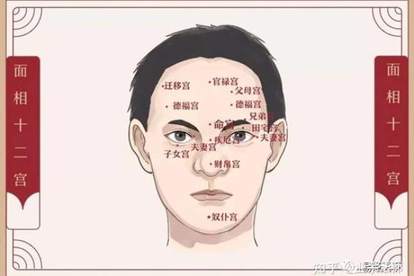 断眉之命格:揭示眉毛断裂背后的深意与生活启示 断眉之命格:揭示眉毛断裂背后的深意与生活启示