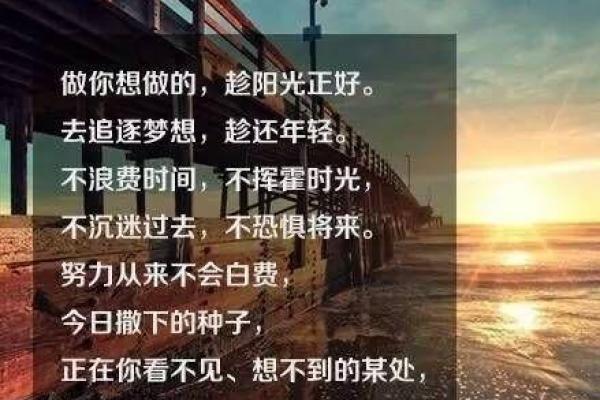 94年正月26日出生的命运揭秘：你与众不同的星辰之路