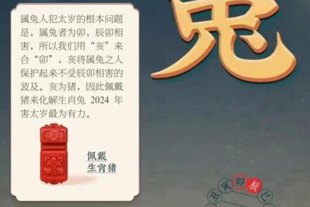 2023年癸卯年：揭示属兔的命运与启示