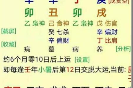 1988年出生的人命理解析：缺乏什么、需要什么？